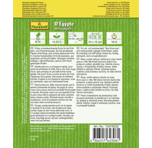 Semená FloraSelf D''Egypte Beta vulgaris