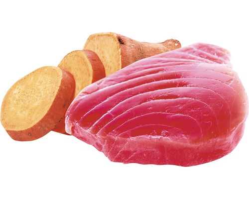 Kúsok tuniaka so sladkým zemiakom v reze.