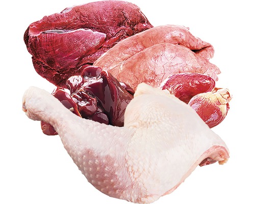 Rôzne druhy surového mäsa