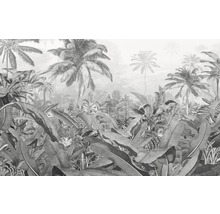 Fototapeta vliesová P013-VD4 Pure Amazonia Black and White 4-dielna 400x250 cm