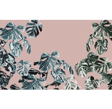 Fototapeta vliesová P016-VD4 Pure Monstera Rosé 4-dielna 400x250 cm