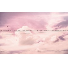 Fototapeta vliesová P017-VD4 Pure Cloud Wire 4-dielna 400x250 cm