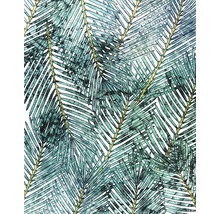 Fototapeta vliesová Palm Canopy, motív prírodný