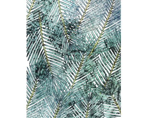 Fototapeta vliesová Palm Canopy, motív prírodný