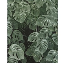 Fototapeta vliesová Monstera on Marble, motív prírodný
