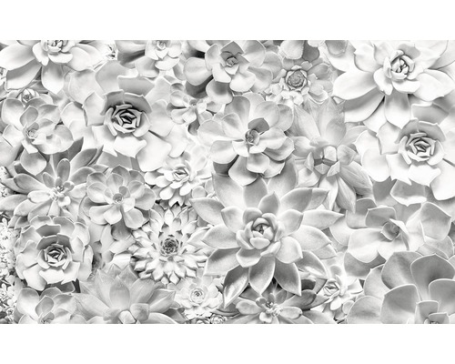 Fototapeta vliesová P962-VD4 Pure Shades Black and White 4-dielna 400x250 cm