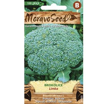 Balenie semien brokolice