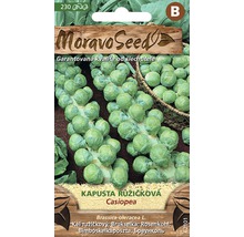 Moravo Seed Kel ružičkový Casiopea balenie semien