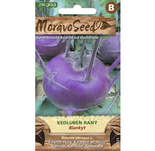 MoravoSeed sada semien s fialovou kalerábom