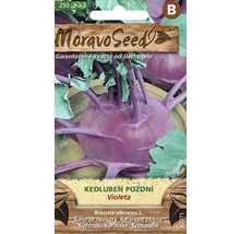 Balenie semien fialovej kalerábu