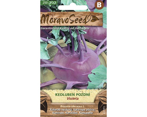 Kaleráb neskorý modrý VIOLETA MoravoSeed