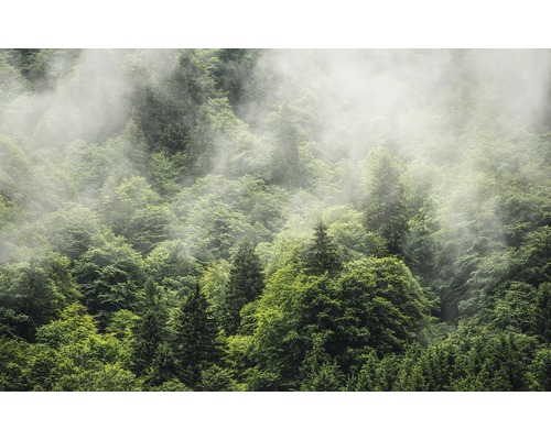 Fototapeta vliesová PSH061-VD4 Pure Forest Land 4-dielna 400x250 cm