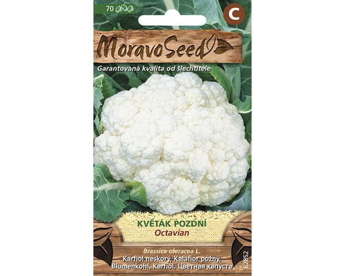 Karfiol neskorý Octavian MoravoSeed