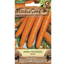 Balíček semien mrkvy
