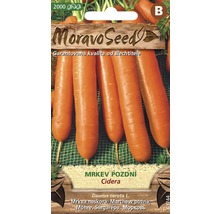 Balenie semien neskorej mrkvy