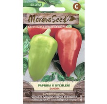 Moravo Seed Paprika Sandra balíček semien