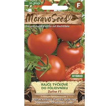 Balenie semien kolíkových paradajok odrody Dafne F1