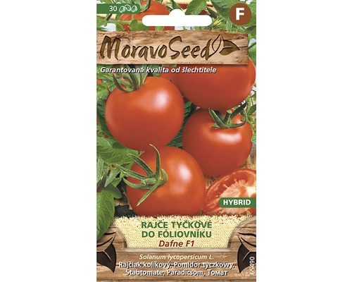 Balenie semien kolíkových paradajok odrody Dafne F1