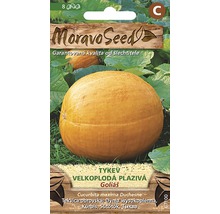 Balíček semien tekvice Moravo Seed