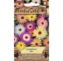 Balenie semien Moravo Seed Kosmatec Mix