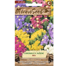 Balíček semien Moravo Seed Limonium sinuatum pre zmesi sušených kvetov