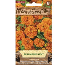 Balenie semien aksamitník nízky od Moravo Seed