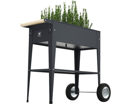 Kovový vyvýšený záhon s kolieskami a rastlinami