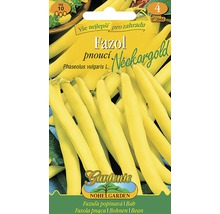 Balíček semien fazule tyčkovej Neckargold