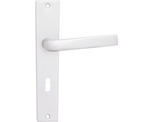 Kľučka na dvere s kľúčovou rozetou z kovu