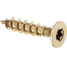Skrutka do dreva s pohonom Torx
