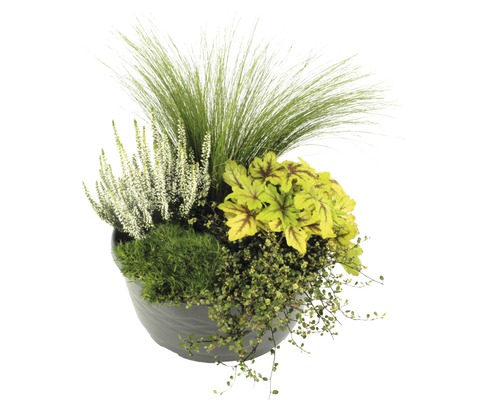 Osadený kvetináč s vresom, okrasnou trávou a listnatými rastlinami