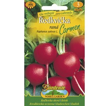 Balíček semien reďkovky