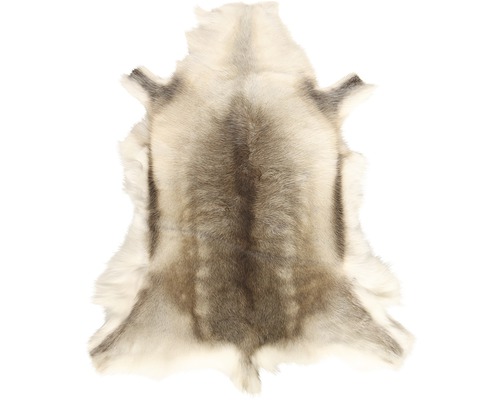 Sobia koža ako dekorácia