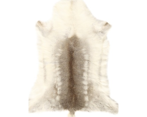 Sobia koža ako koberec