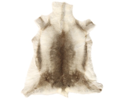 Sobia koža ako dekorácia alebo koberec