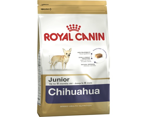 Chihuahua royal clearance canin junior