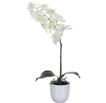Umelá orchidea v kvetináči