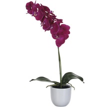 Umelá fialová orchidea v bielom kvetináči