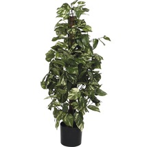 Umelý Scindapsus na drevenej tyči v kvetináči