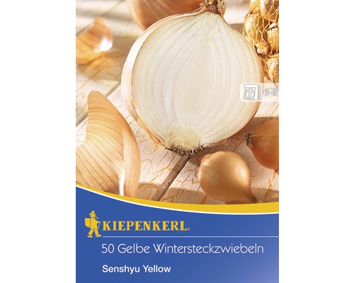 Cibuľa sadzačka zimná Kiepenkerl 'Senshyu Yellow' 50 ks