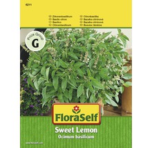 Rastlina citrónovej bazalky FloraSelf