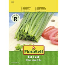 FloraSelf Fat Leaf semienka pažítky cesnakovej