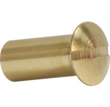 Skrutka s drážkou, mosadzná farba