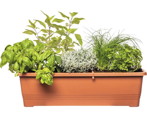 Balkónový kvetináč osadený rôznymi bylinkami