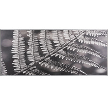 Nástenná dekorácia s čiernobielou fotografiou paprade