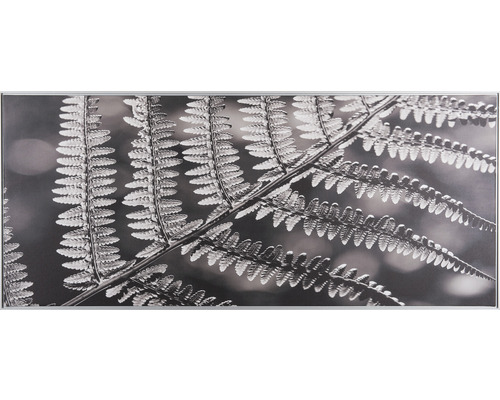 Nástenná dekorácia s čiernobielou fotografiou paprade