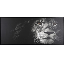 Rámovaný nástenný obraz s portrétom leva