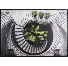 Zarámovaný obraz točitého schodiska s rastlinami