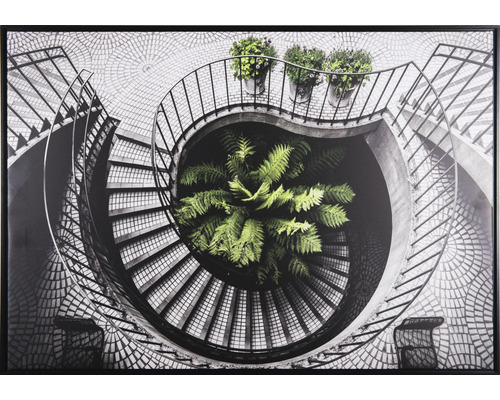 Zarámovaný obraz točitého schodiska s rastlinami