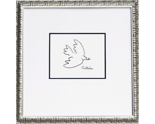 Obraz Picasso Holubica mieru 60 x 60 cm